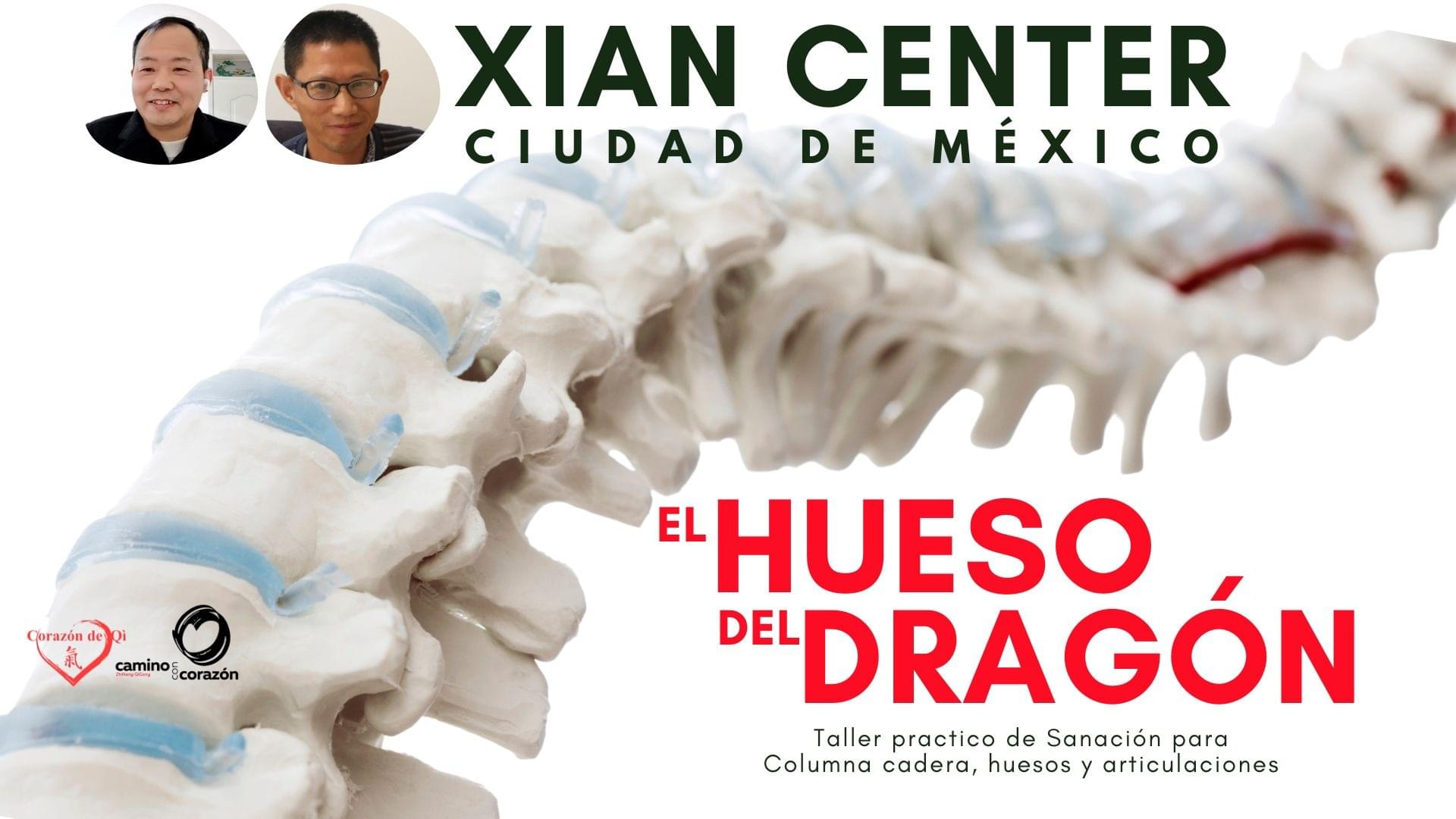 Curso en Línea de Sanación a Distancia Con Zhineng QiGong
