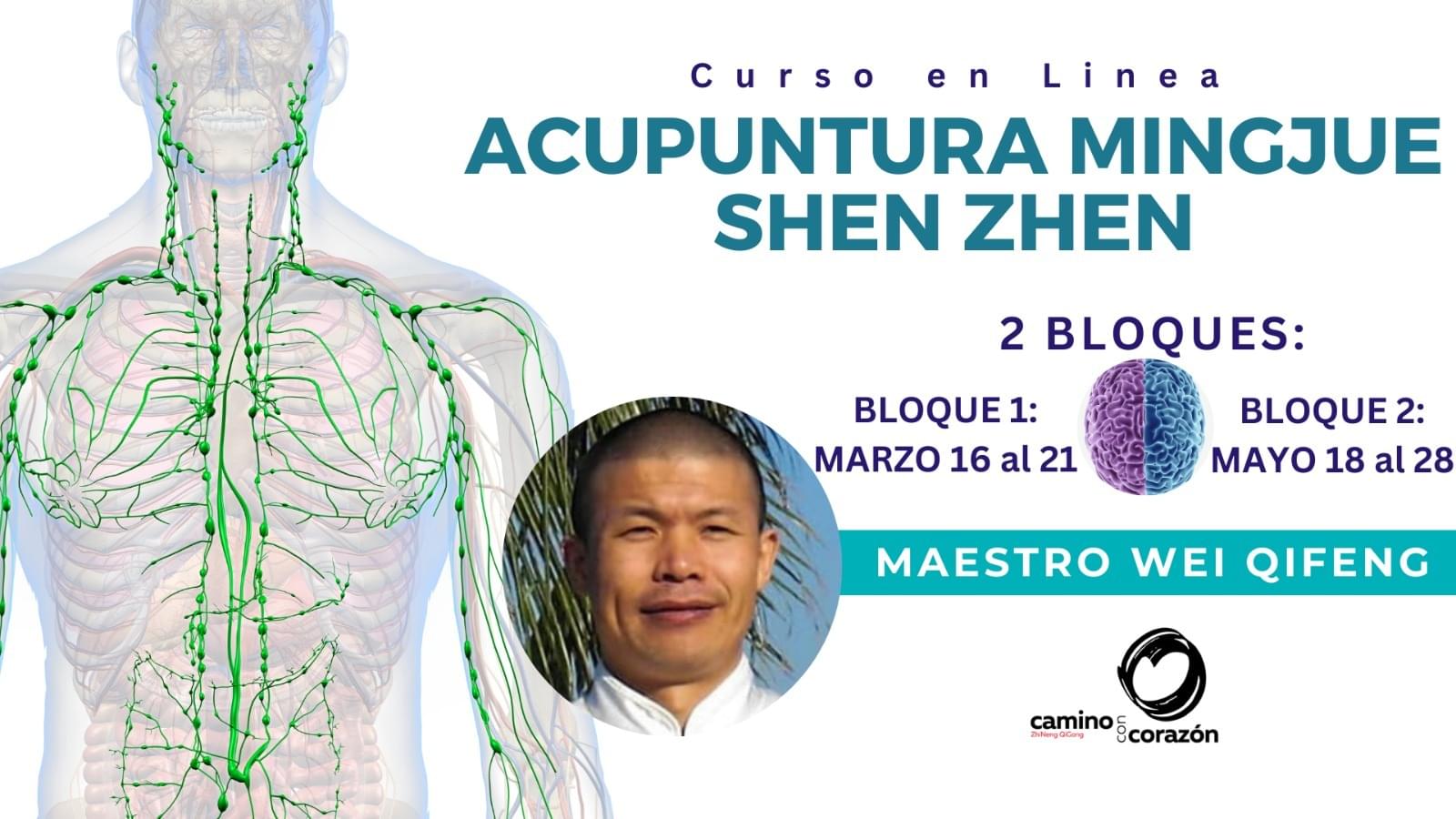 Curso en Línea de Sanación a Distancia Con Zhineng QiGong